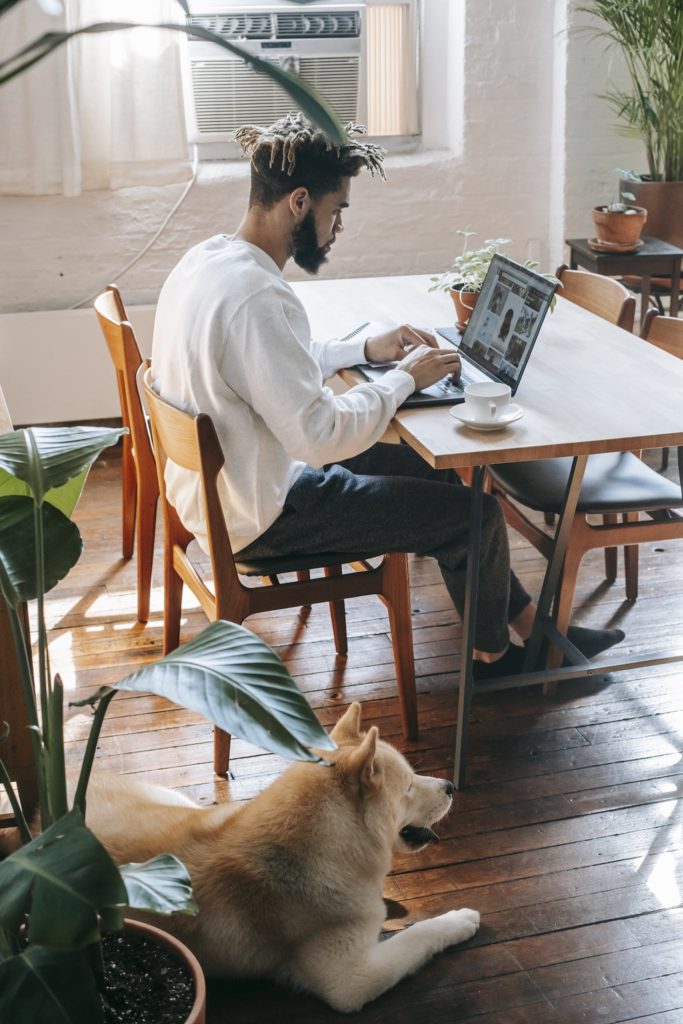 Side view of African American male sitting at table and surfing netbook while working online in room with Akita Inu dog and potted plants